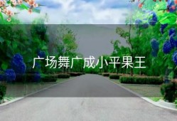 广场舞广成小平果王