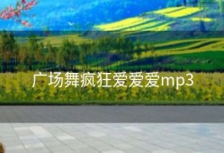 广场舞疯狂爱爱爱mp3