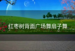 红枣树背面广场舞扇子舞