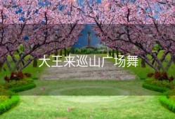 大王来巡山广场舞