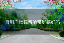 自制广场舞音响带屏幕好吗