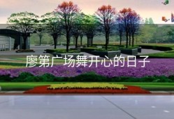 廖第广场舞开心的日子