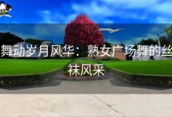舞动岁月风华：熟女广场舞的丝袜风采