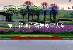 笛子视频广场舞教学大全