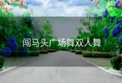 闯马头广场舞双人舞