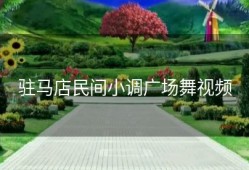 驻马店民间小调广场舞视频