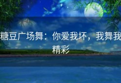 糖豆广场舞：你爱我坏，我舞我精彩