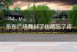 东东广场舞好了伤疤忘了疼