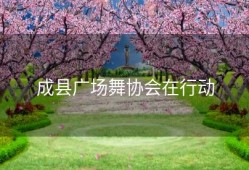 成县广场舞协会在行动