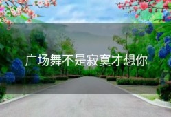 广场舞不是寂寞才想你