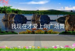 我现在才爱上你广场舞