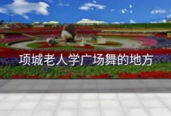 项城老人学广场舞的地方