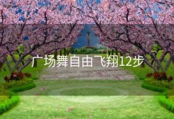 广场舞自由飞翔12步