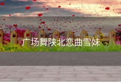 广场舞陕北恋曲雪妹