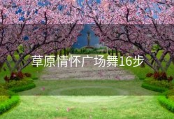 草原情怀广场舞16步