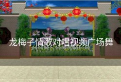 龙梅子情歌对唱视频广场舞