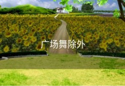 广场舞除外