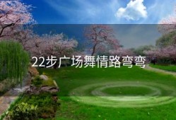 22步广场舞情路弯弯