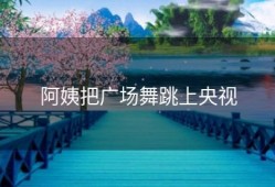 阿姨把广场舞跳上央视