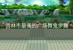 吉林市最美的广场舞鬼步舞