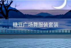 糖豆广场舞服装套装