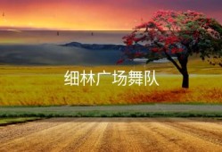 细林广场舞队