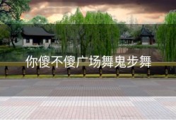 你傻不傻广场舞鬼步舞