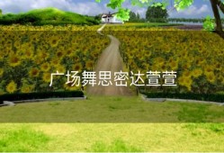 广场舞思密达萱萱