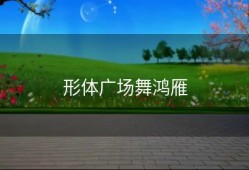 形体广场舞鸿雁