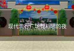 现代流行广场舞相思的夜