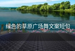 绿色的草原广场舞文案短句