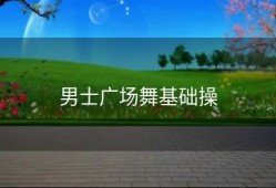 男士广场舞基础操