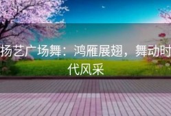 扬艺广场舞：鸿雁展翅，舞动时代风采