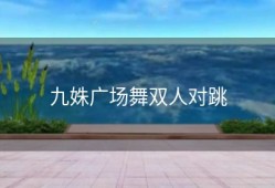 九姝广场舞双人对跳