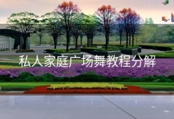 私人家庭广场舞教程分解