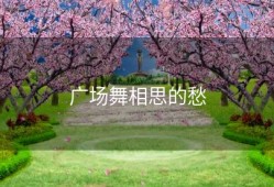 广场舞相思的愁