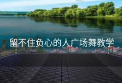 留不住负心的人广场舞教学