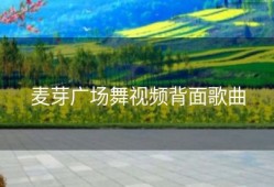 麦芽广场舞视频背面歌曲