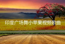 印度广场舞小苹果视频歌曲