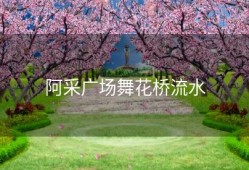 阿采广场舞花桥流水