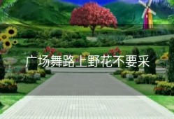 广场舞路上野花不要采