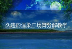 久违的温柔广场舞分解教学