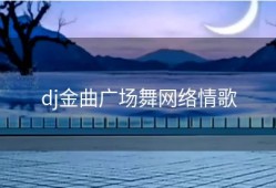 dj金曲广场舞网络情歌