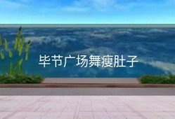 毕节广场舞瘦肚子