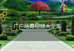 广广场舞视频大全集