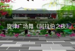 旋律广场舞《阿拉伯之夜》