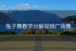兔子舞教学分解视频广场舞