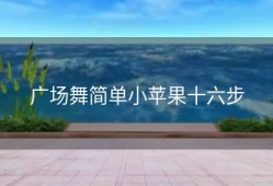 广场舞简单小苹果十六步