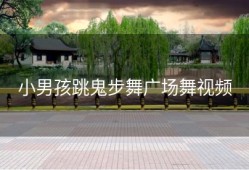 小男孩跳鬼步舞广场舞视频
