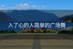 入了心的人简单的广场舞